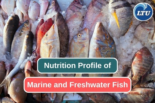 Nutrition Difference of Marine and Freshwater Fish